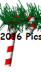 2016 Pictures